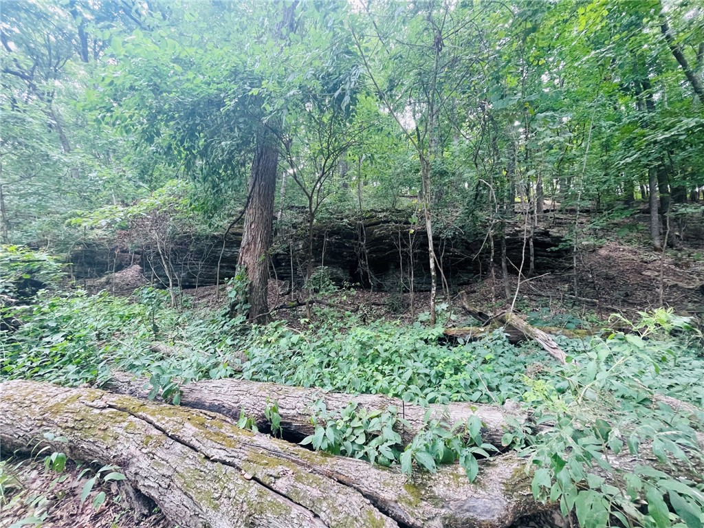 Image 13
