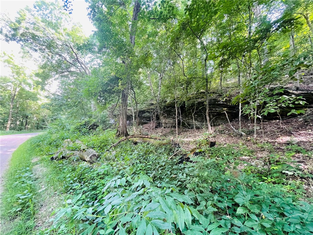 Image 15