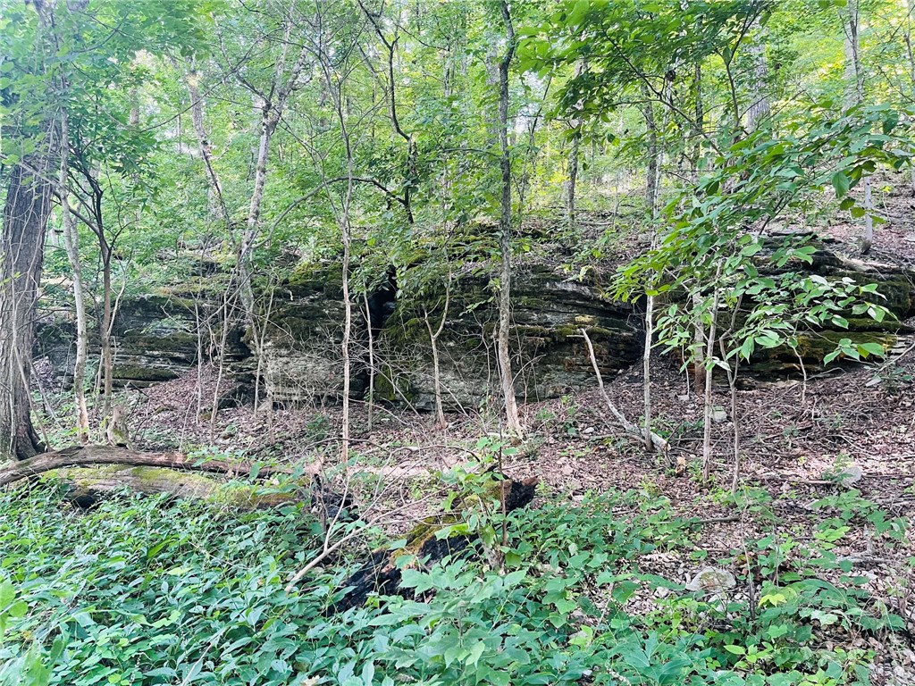 Image 16