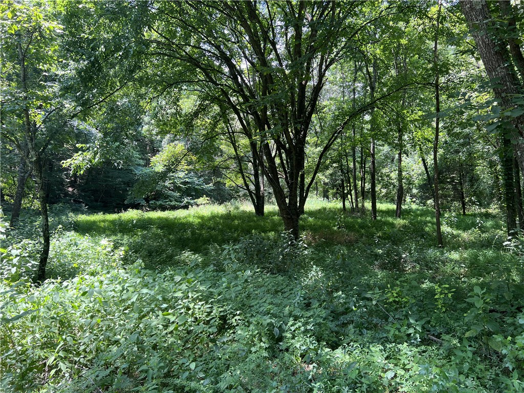 Image 41