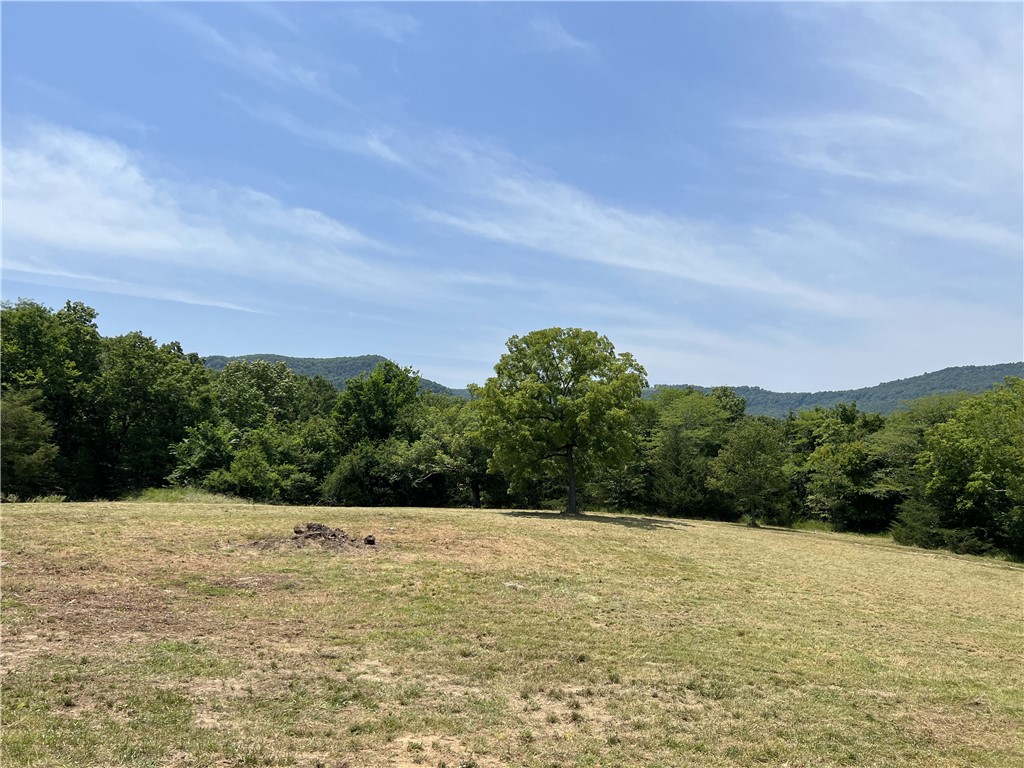 Image 43