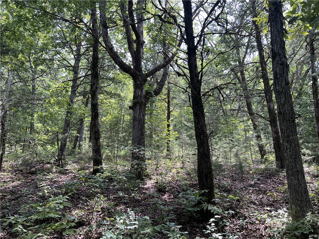Image 45
