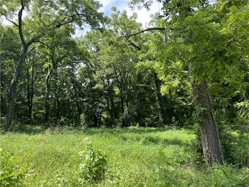Image 47