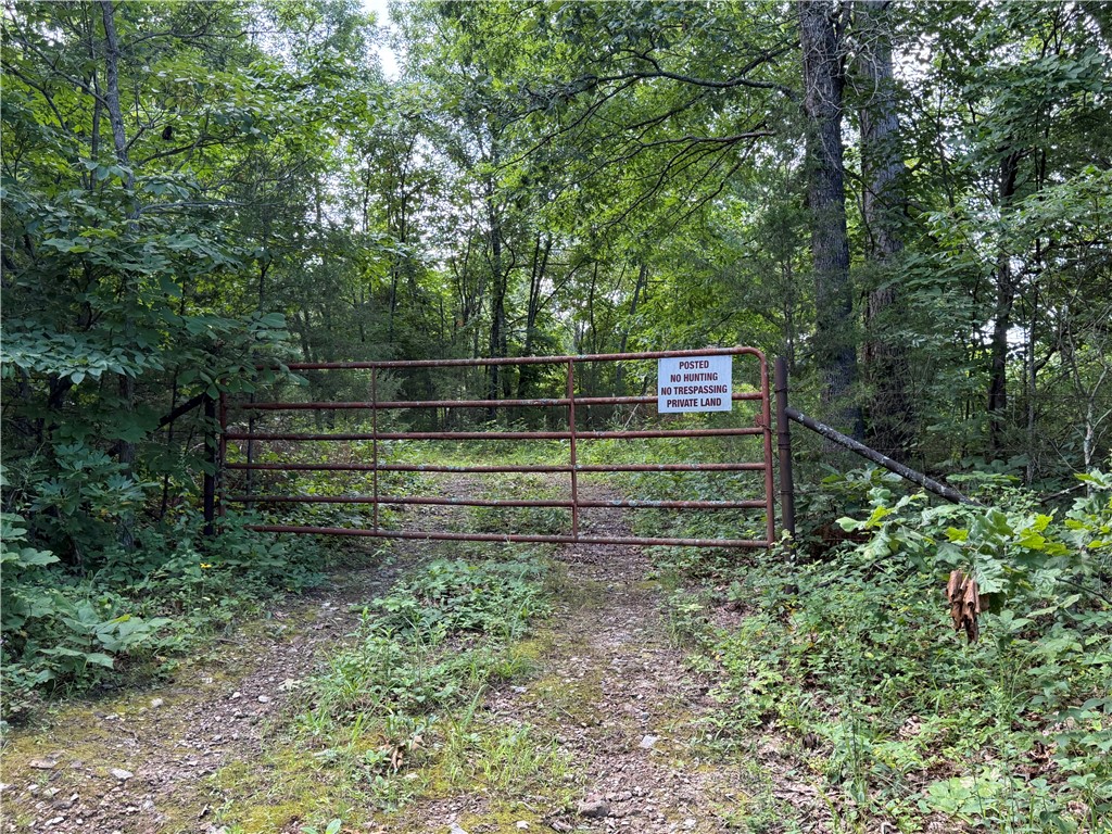 Image 14