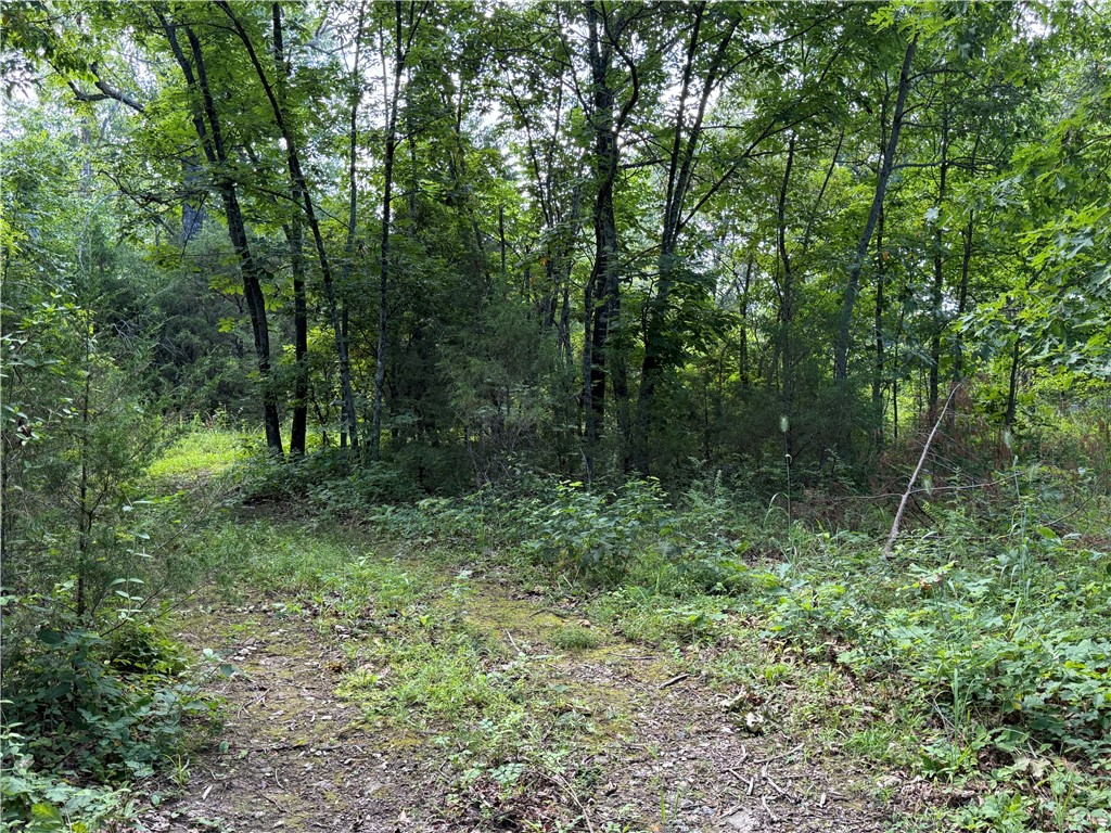 Image 15