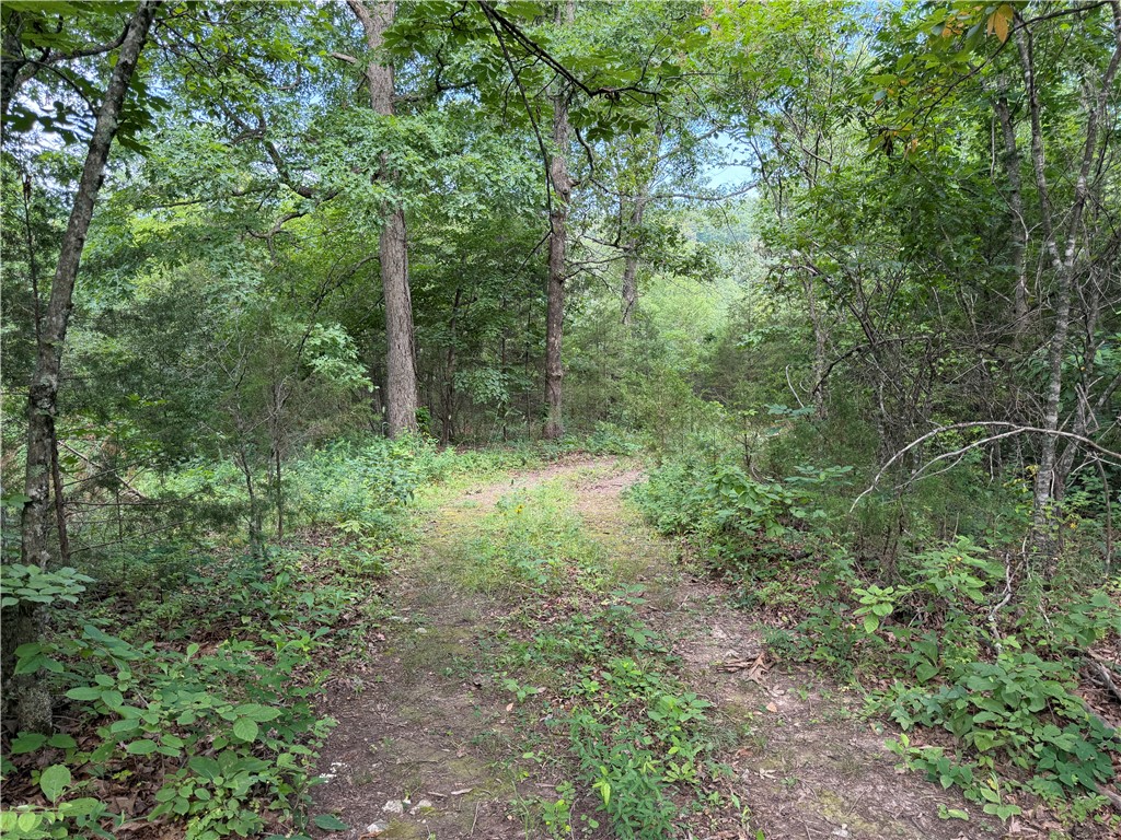 Image 17