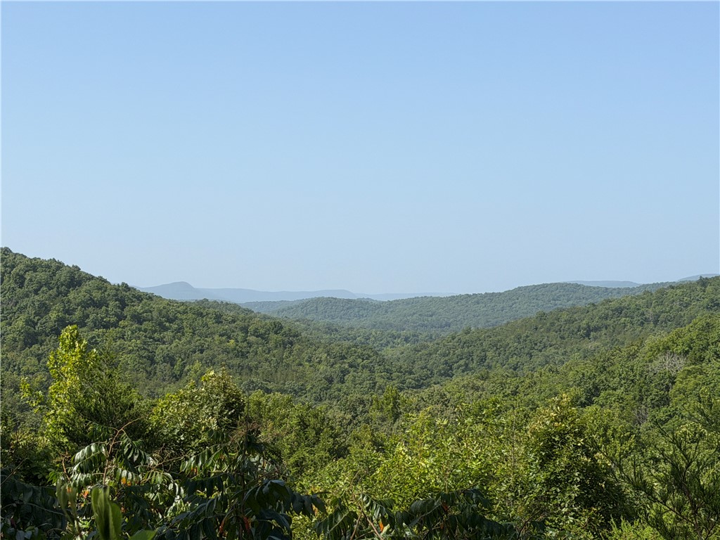 Image 18
