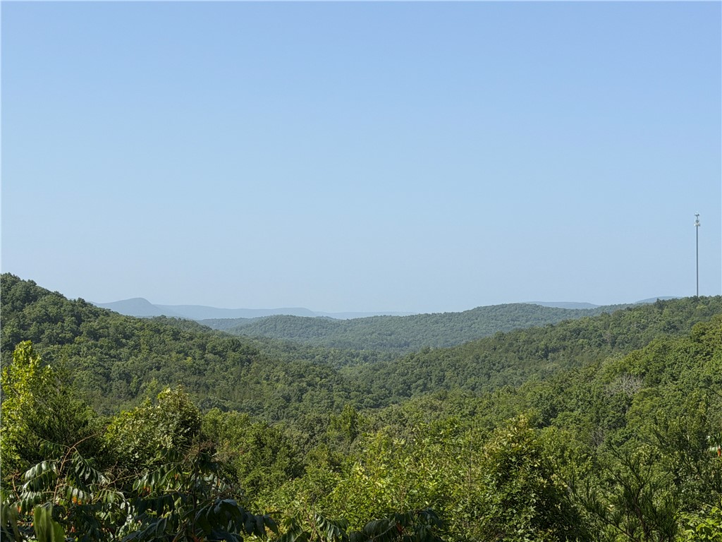 Image 19