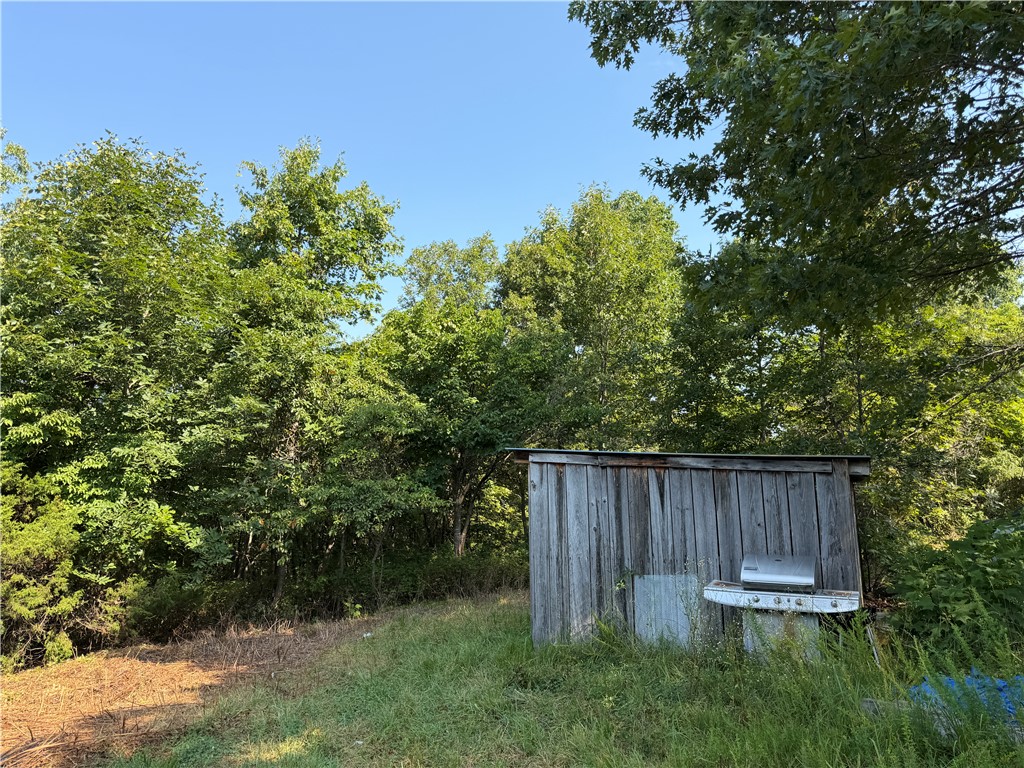 Image 21
