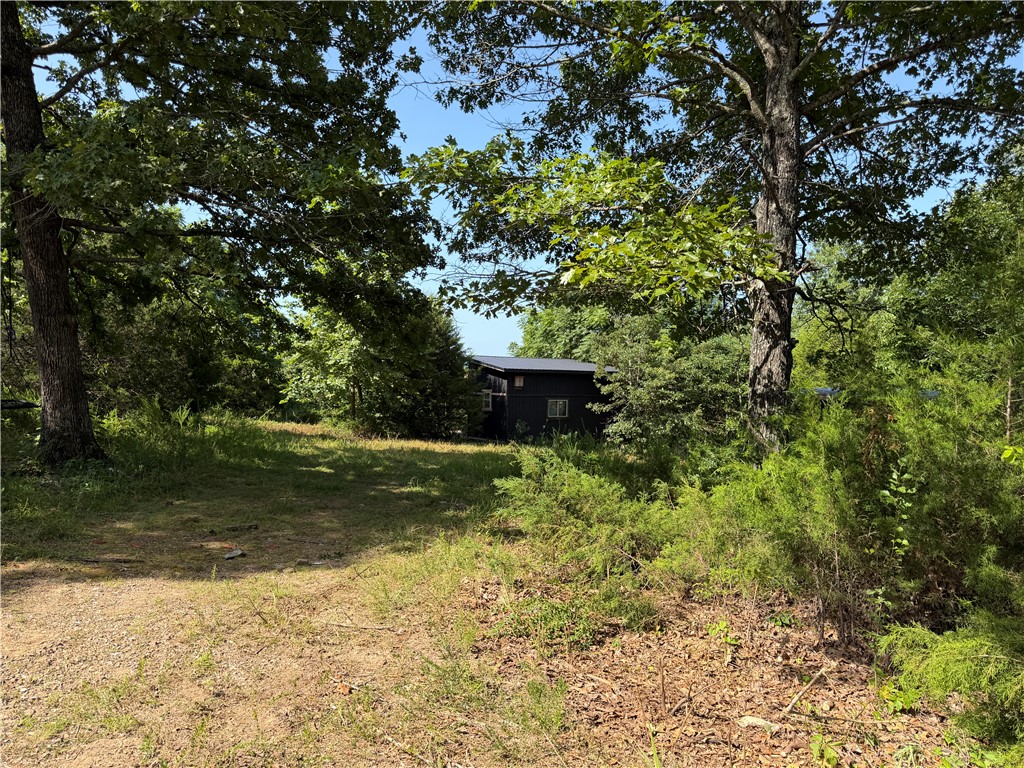 Image 33