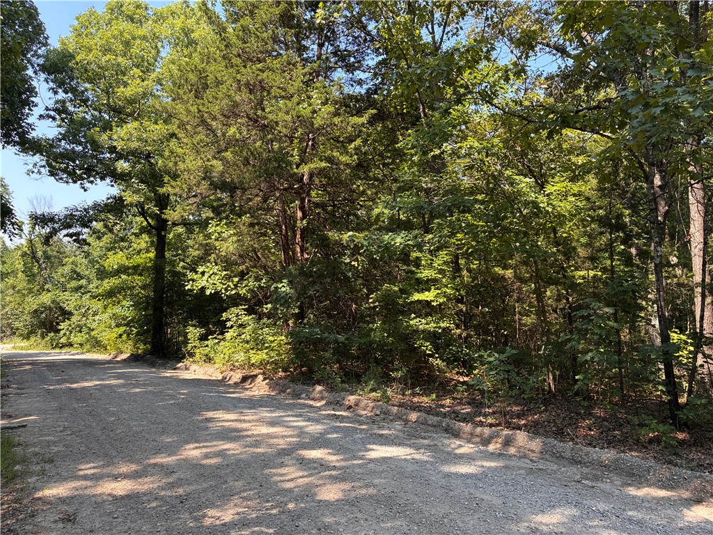 Image 9