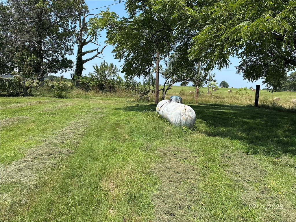 Image 28