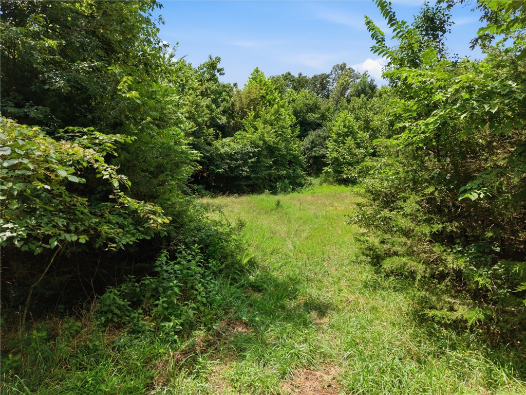 Image 14