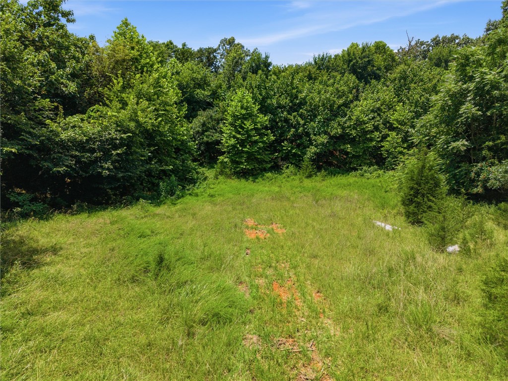 Image 15