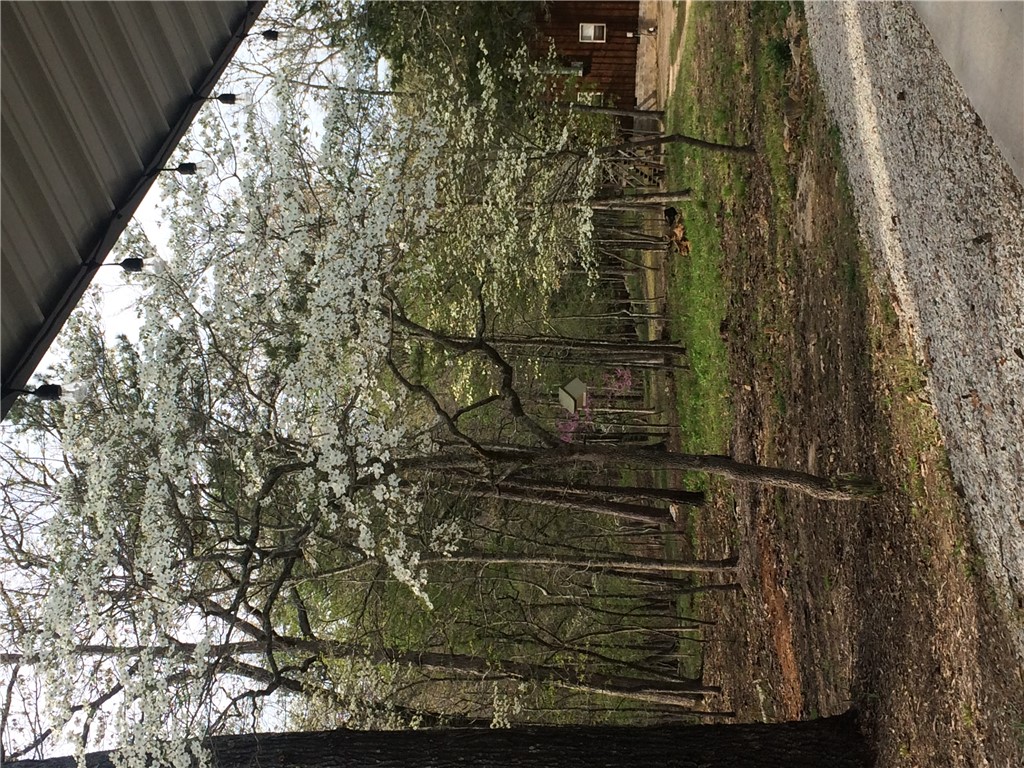Image 31