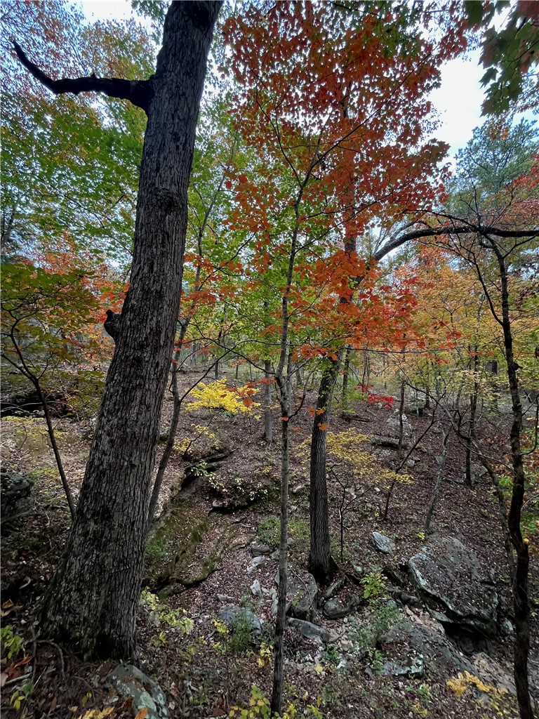 Image 48