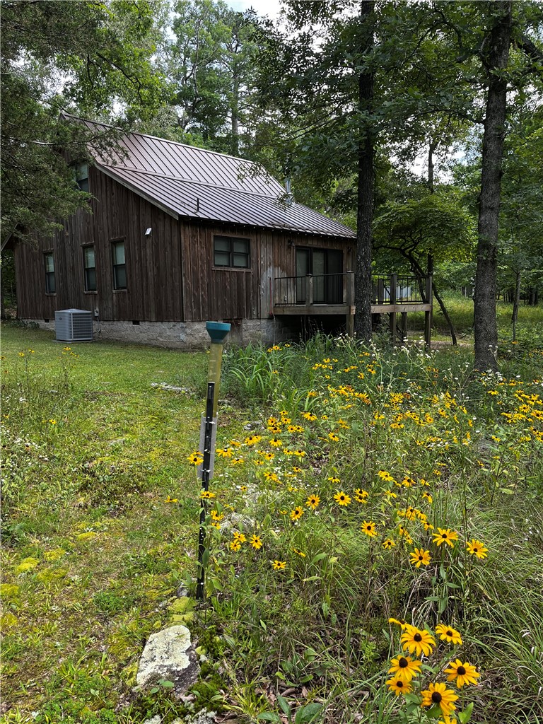 Image 50