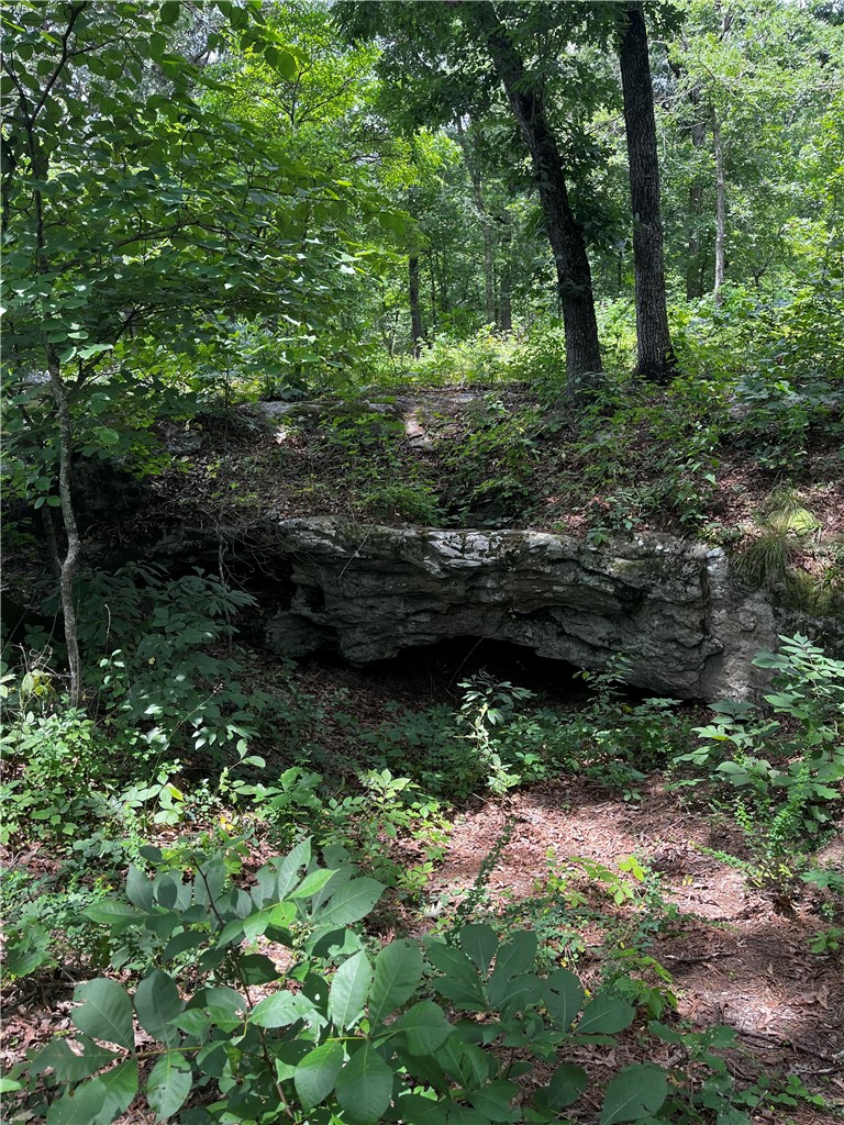 Image 51