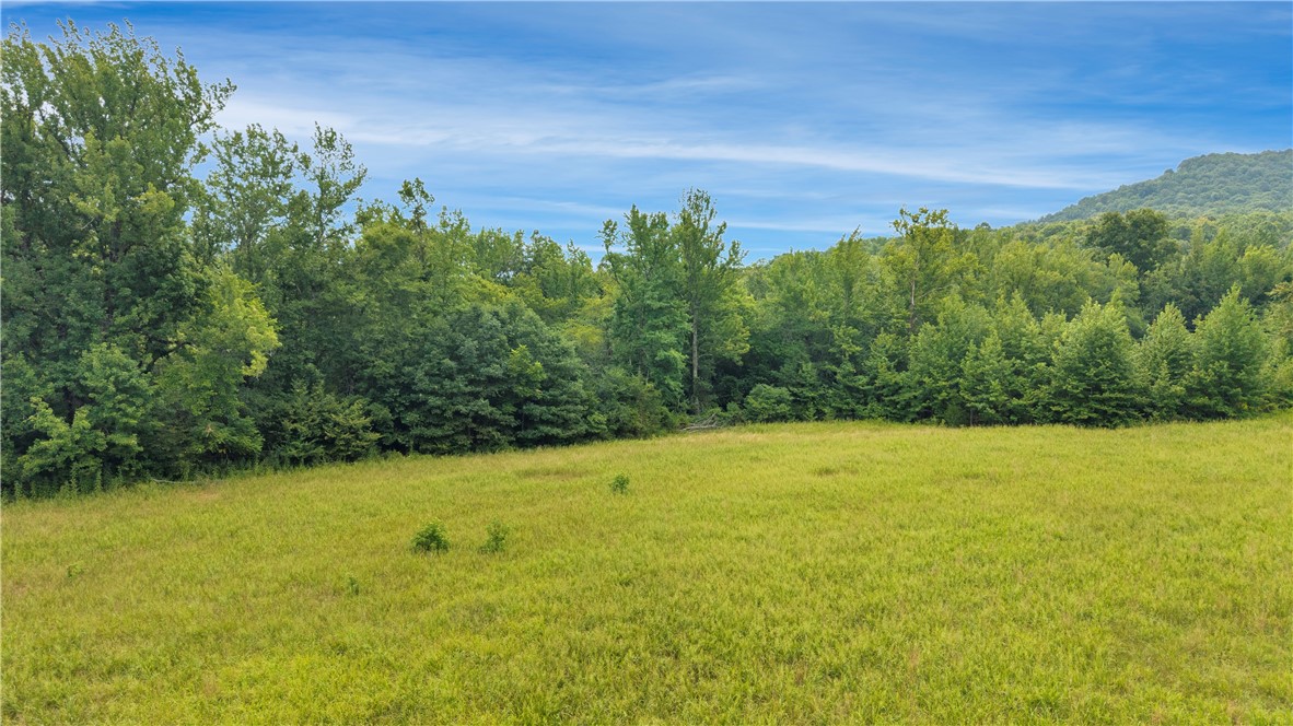 Image 13