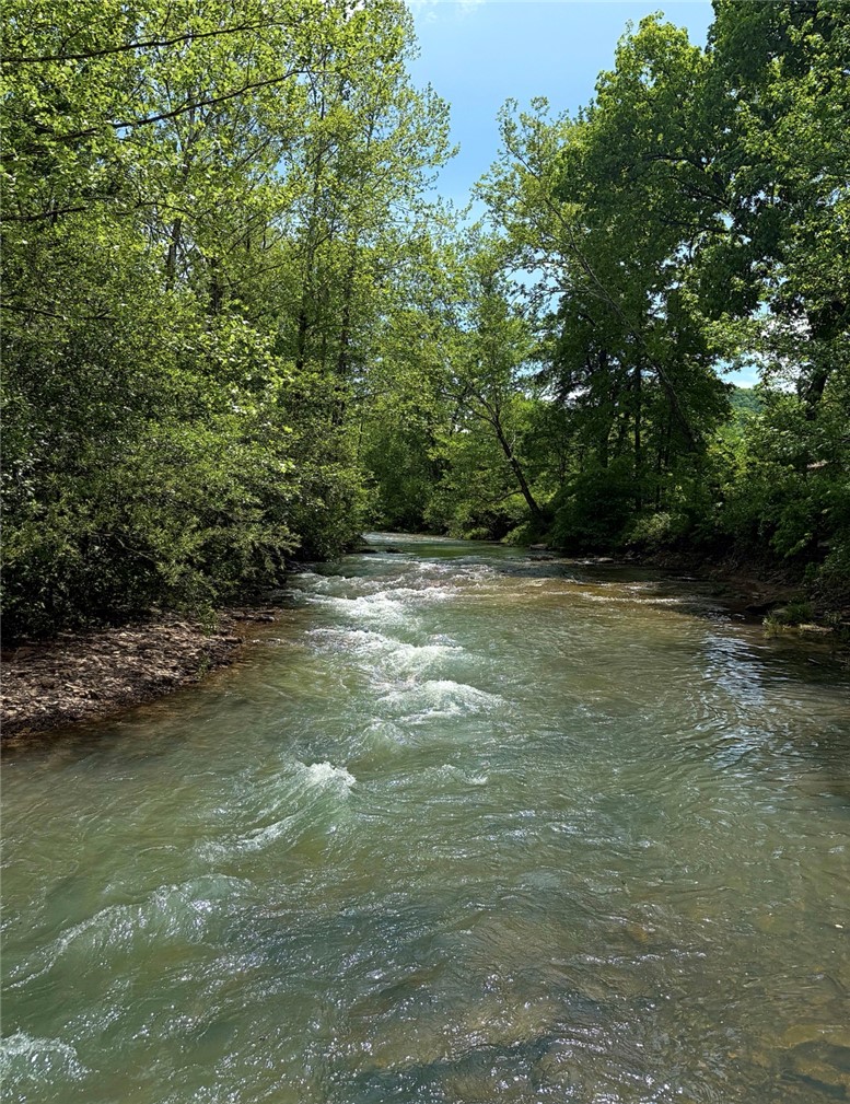Image 22