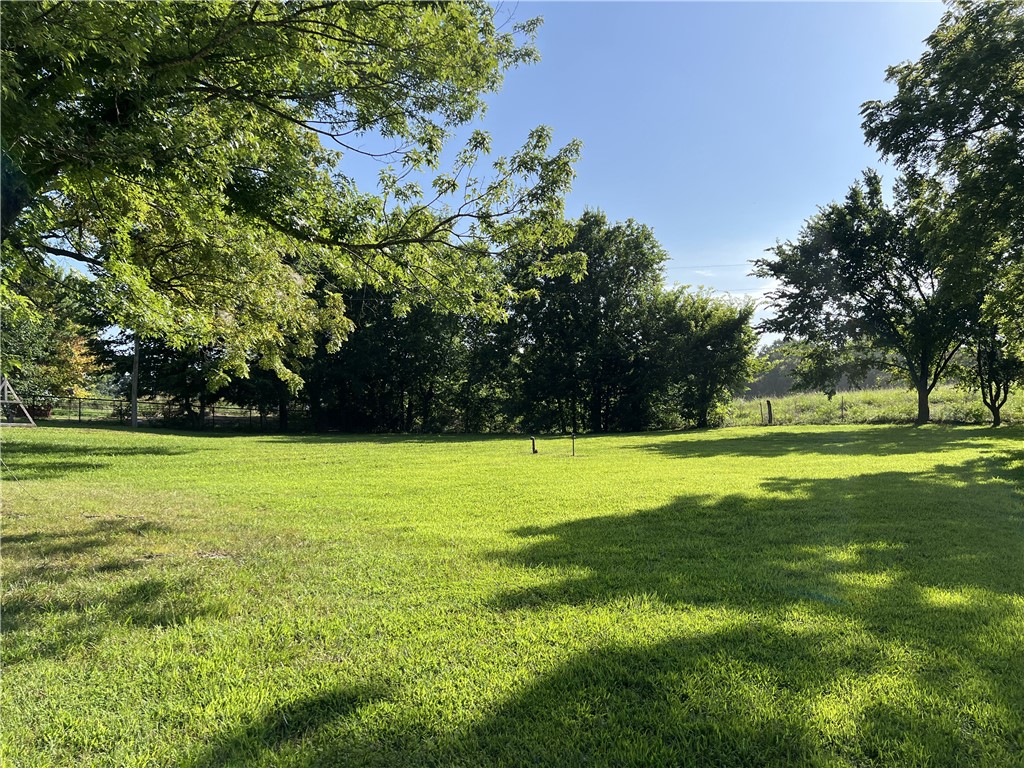 Image 33