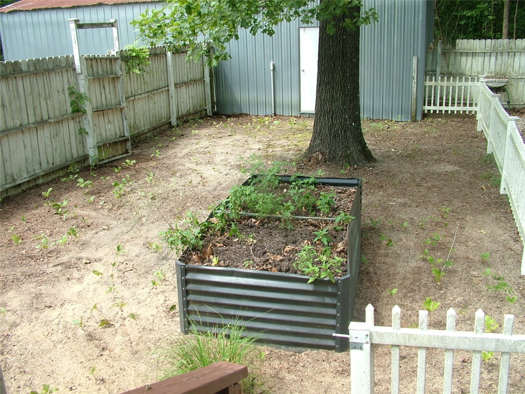 Image 20