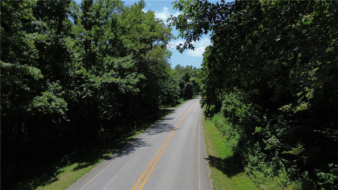 Image 13