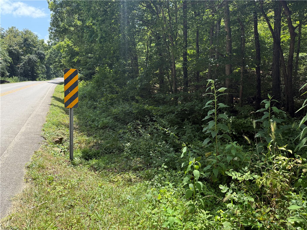Image 14