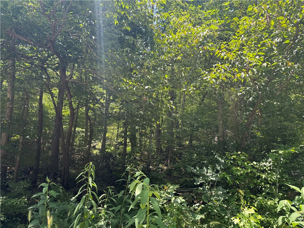 Image 15