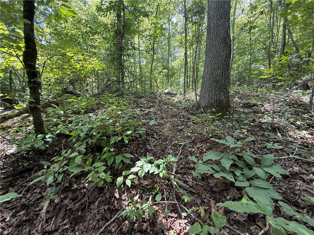 Image 18