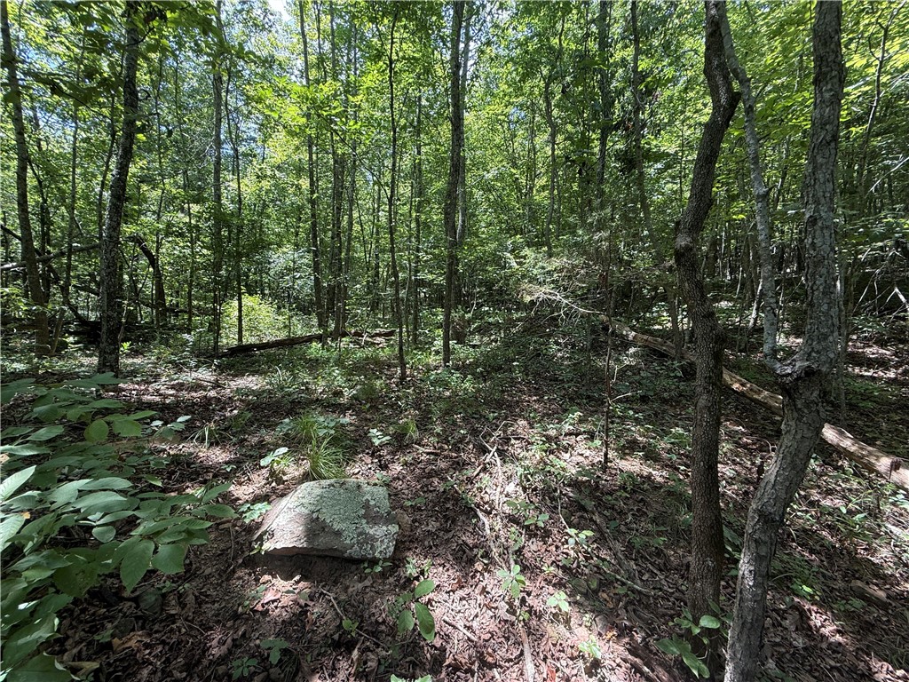 Image 19
