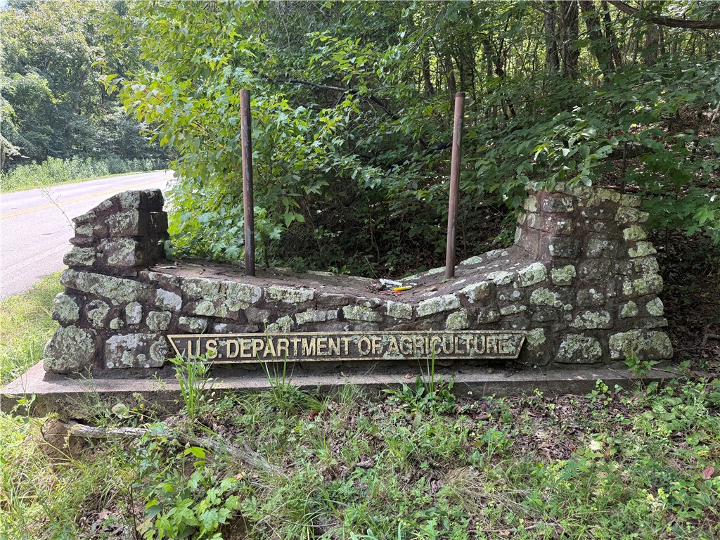 Image 29