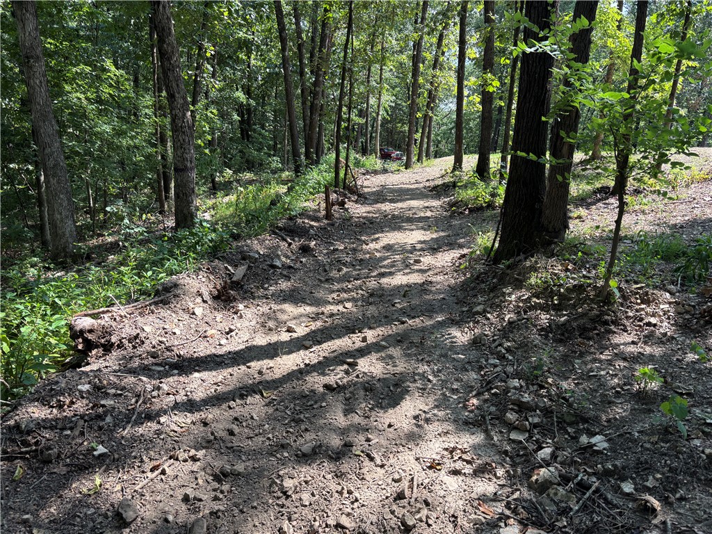 Image 12