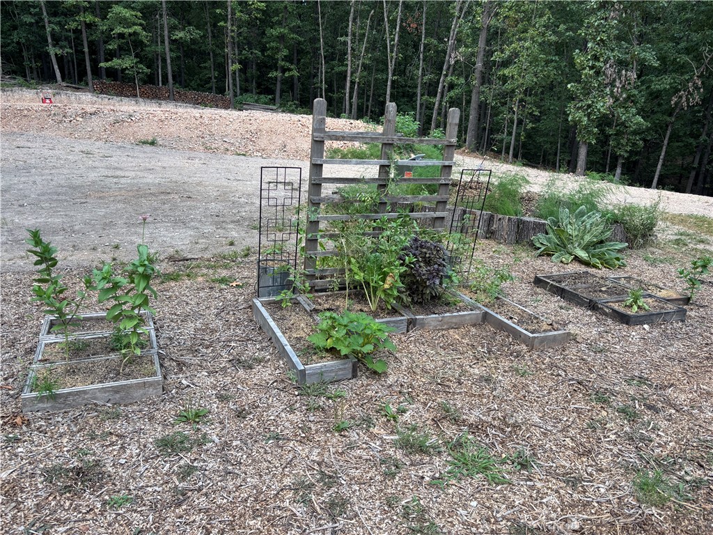 Image 40
