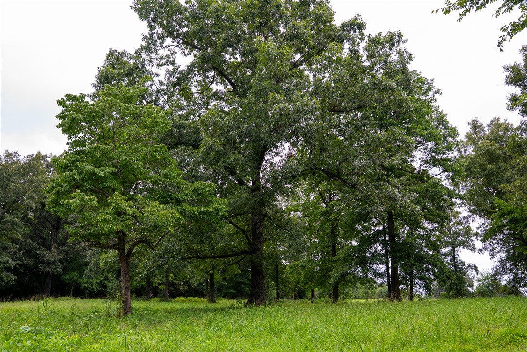 Image 14