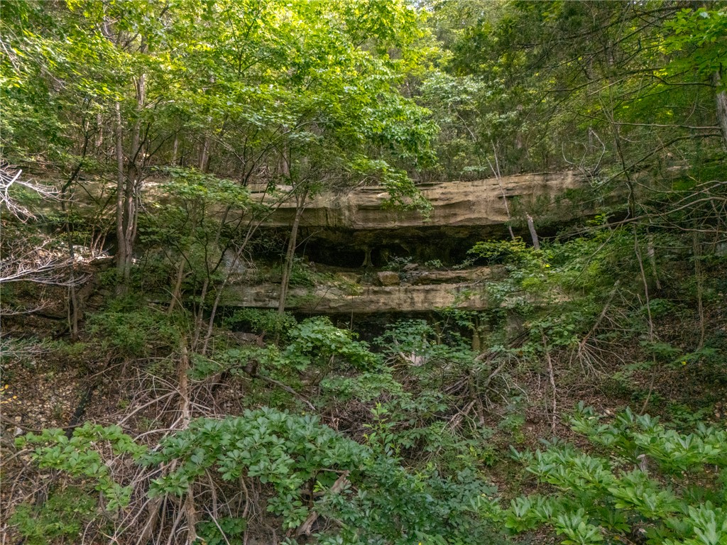 Image 13