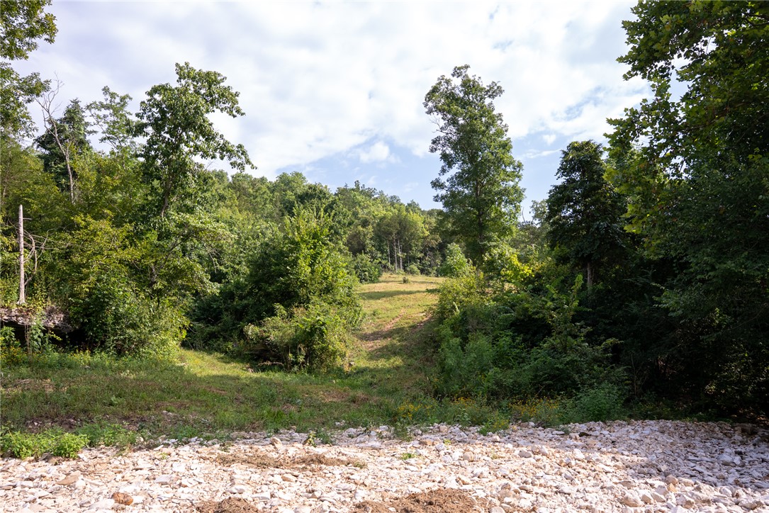 Image 31