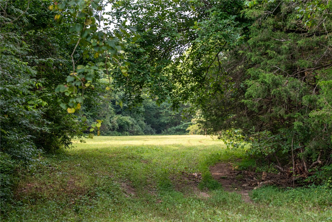 Image 36