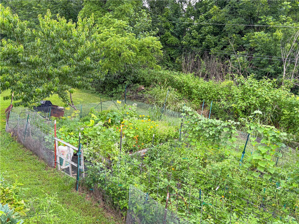 Image 15