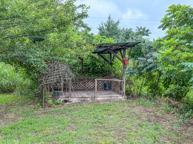 Image 8