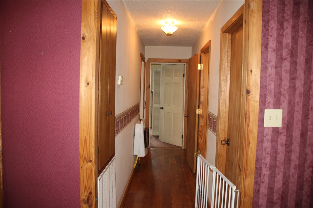 Image 15