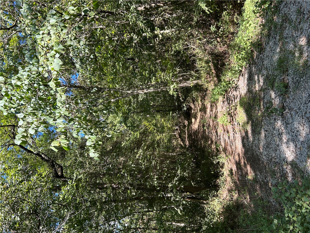 Image 31