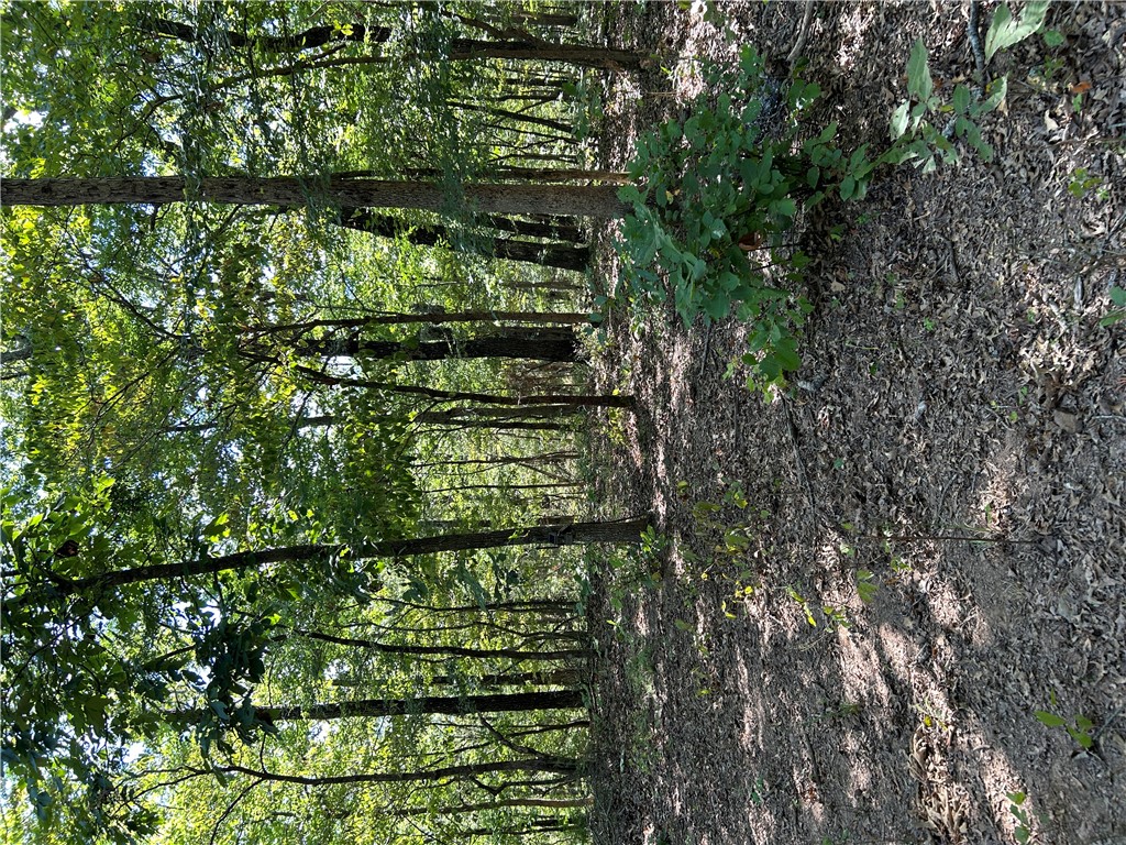 Image 32