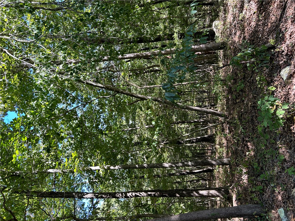 Image 33