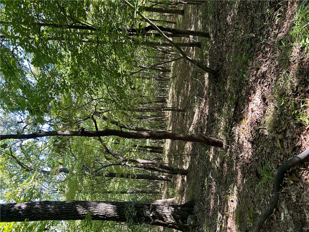 Image 34