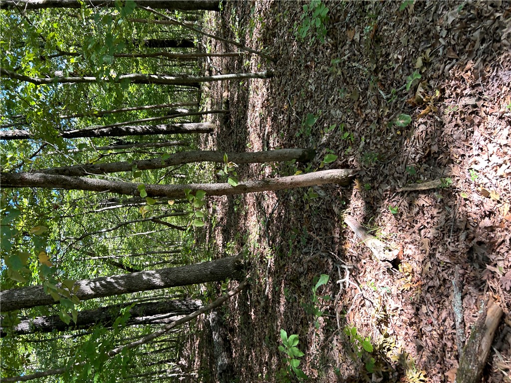 Image 35