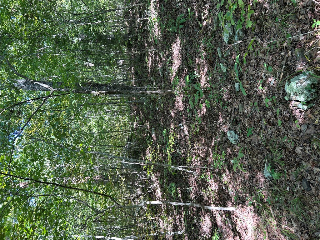 Image 37