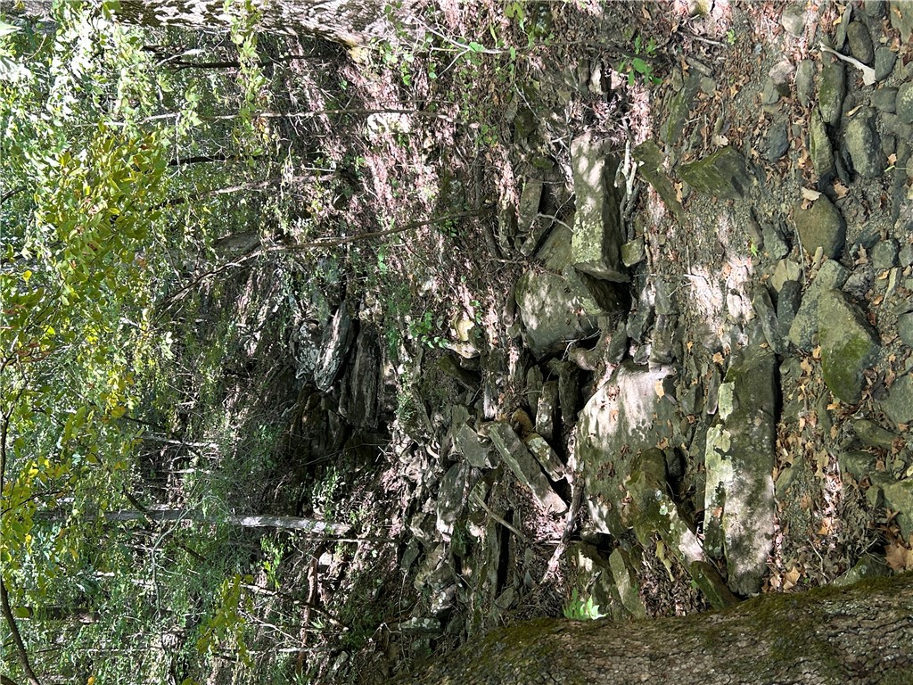 Image 38