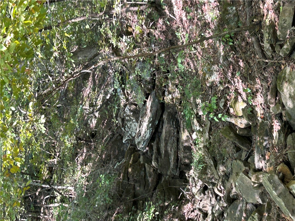 Image 39