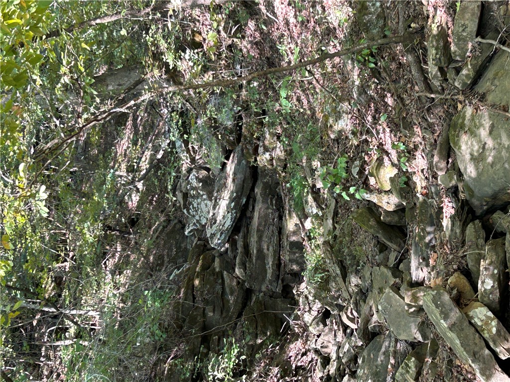 Image 40